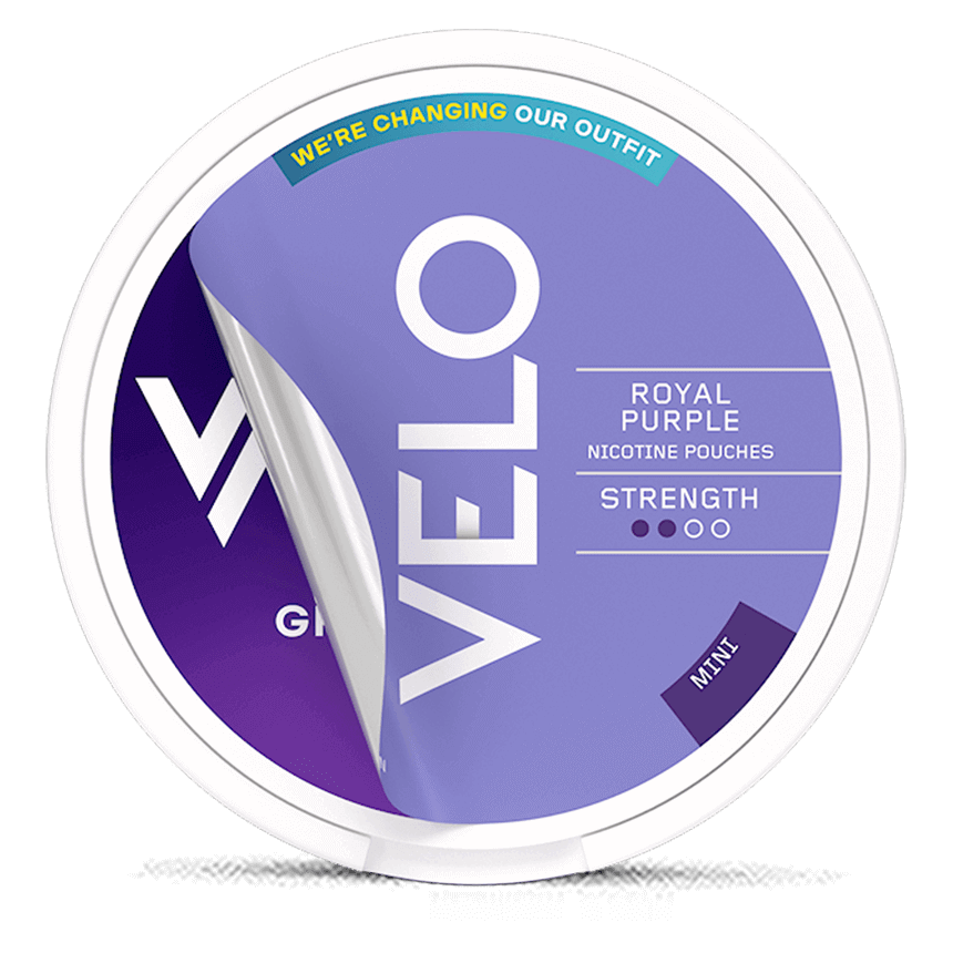 VELO Royal Purple/Groovy grape Mini