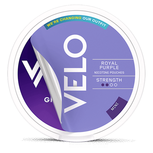 VELO Royal Purple/Groovy grape Mini